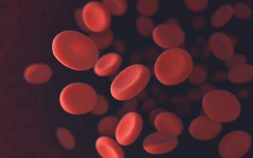 Rote Blutkörperchen auf schwarzem Hintergrund Rote Blutkörperchen auf schwarzem Hintergrund fliegen herum.