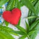 Auswirkung von Cannabiskonsum auf postoperative Komplikationen